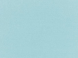 Sunbrella Mineral Blue (5420-0000)